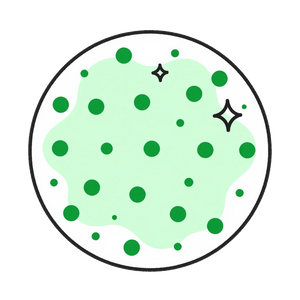 vz_wl_ico_cultures_tr.webp