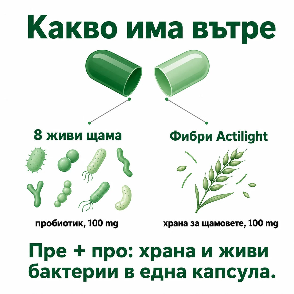 vzmb-11-ingredients-g